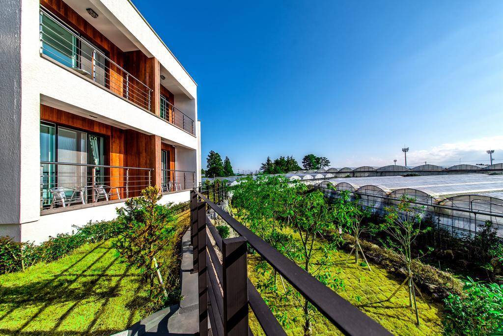 Dorami Pension Seogwipo Extérieur photo